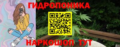 молекула духа Шахты