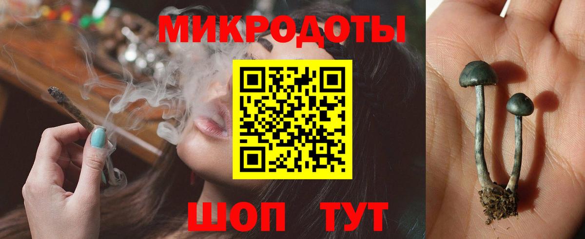 Псилоцибиновые грибы Psilocybe Воронеж